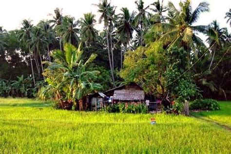 pinay kantot sa kubo|Resulta ng Quarantine sa Probinsya nag Iyot sa Kubo.